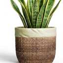 Ceramic Pots for Plants - 8 Inch Plant Pot Indoor with Drainage Hole, Round Planters for Indoor Outdoor Plants and Flowers, Decorative Boho Flower Pots, Room Decor, Housewarming Gifts, Brown
