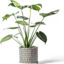 8 Inch Plant Pot: Ceramic Planter with Drainage Hole & Saucer - Cylinder Flowerpot for Indoor & Outdoor Plants - with Separate Tray for Home & Office - Striped Design