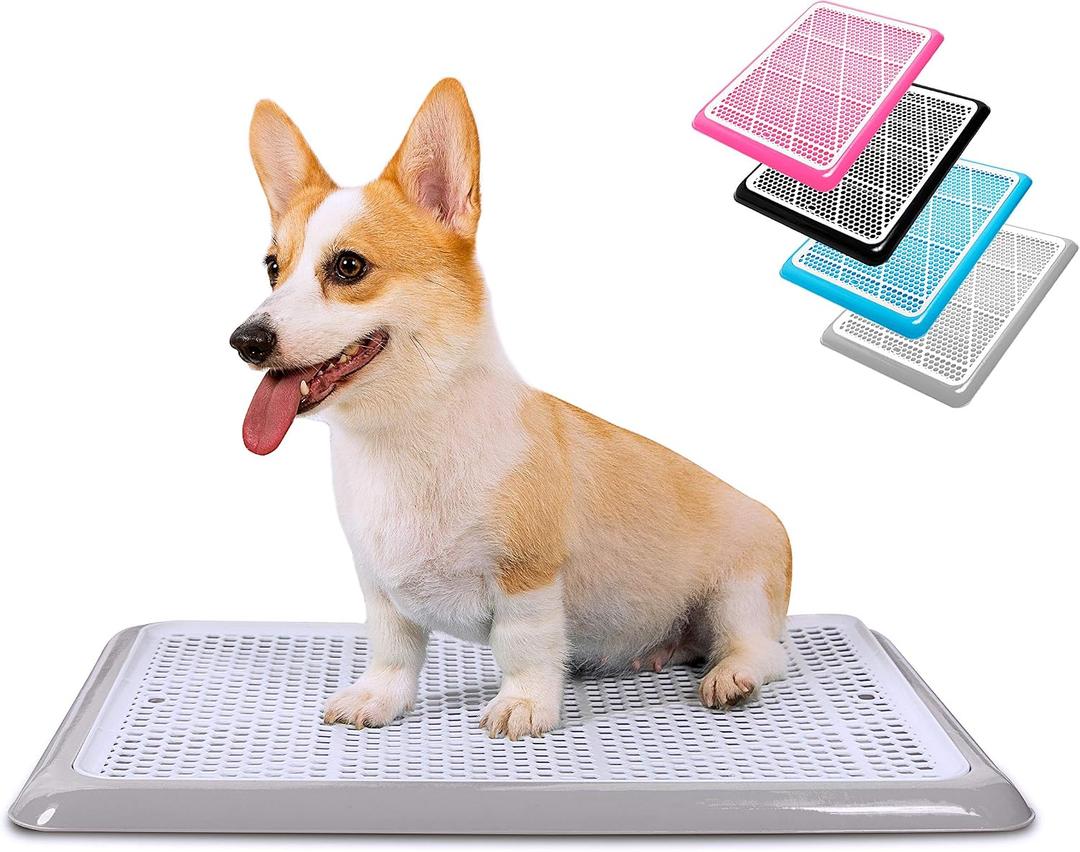 Pet Awesome Dog Potty Tray/Puppy Pee Pad Holder 25x20 Indoor Wee Training for Small and Medium Dogs