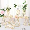 Roshtia Modern 8-Piece Gold Test Tube Vase Set - Geometric Hydroponic Flower Stand with Glass Cylinders for Home Decor, Weddings, Offices