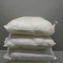 Pillow Insert 20x20