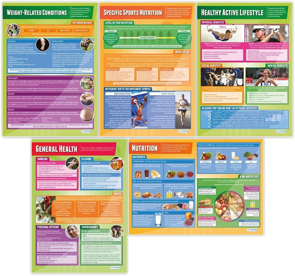 Health, Fitness & Well-Being Class Posters, Set of 5, EXTRA LARGE 33"x23.5" | Gloss Paper, PE Middle & High School Class Decoration, Wall Charts by Daydream Education