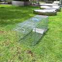 Large Collapsible Humane Live Animal Cage Trap No-Kill Trapping Kit for Humane Catch Release Rabbits, Stray Cat, Squirrel, Raccoon, All Fit Sized Animals, Heavy Duty, 2-Door 31"x11.5"x12.5"