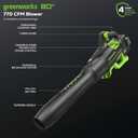 Greenworks 80V (770 CFM/190 MPH) Brushless Cordless Leaf Blower, Commercial-Grade Power for Autumn Leaf Composting, Spring Pollen Cleanup and Post-Snow Debris, Includes 4.0Ah Battery & Rapid Charger