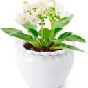 Self Watering Plant Pot African Violet Pots Ceramic 6.5 * 4.6 * 4 inch White for Indoor Flowers and Plants Simple Plant Self Watering Pot Modern Decor Pots Efficient Absorption Water