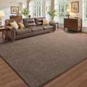 Pettop 5x7 Brown Area Rugs for Living Room Bedroom, Thickened Memory-Foam Throw Carpet, Modern Minimalist Super Soft Kids Boys Girls Rug, Non-Slip and Washable Carpets for Dorm Home Decor