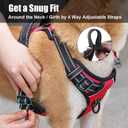 PoyPet No Pull Dog Harness, Reflective Comfortable Vest Harness with Front & Back 2 Leash Attachments and Easy Control Handle Adjustable Soft Padded Pet Vest for Small to Large Dogs (Red, XS)