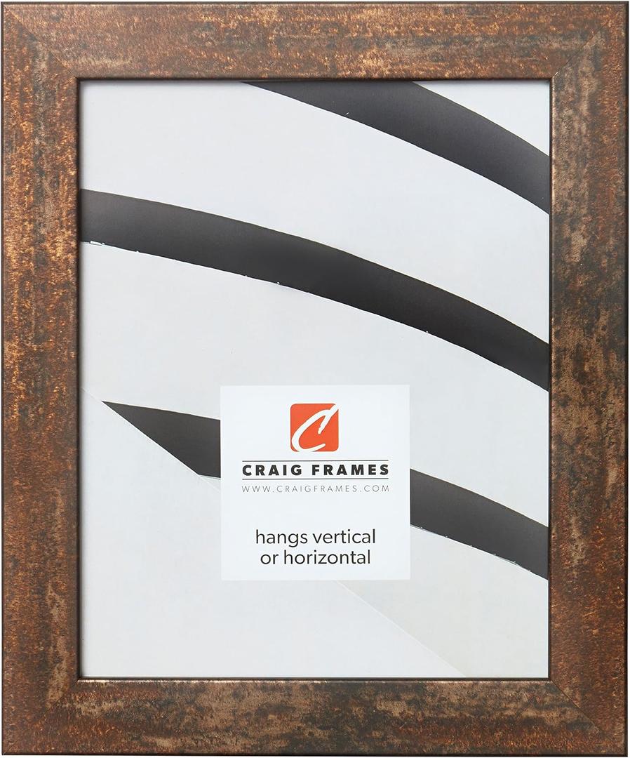 Craig Frames Bauhaus 125 Picture Frame, 24 x 30 Inch, Rust