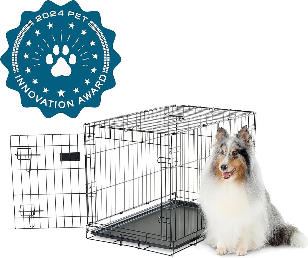 Carlson Pet Products Secure and Foldable Single Door Metal Dog Crate, Medium, Black (30.0"L x 19.0"W x 21.5"H)