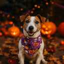 Halloween Dog Bandanas with Snap Button, 2 Pack Pumpkin & Ghost Pet Scarf for Boy & Girl, Premium Durable Fabric, Adjustable Fit, Spooky Bandana for Large and Extra Large Dogs (X-Large) (Halloween-Pink, Purple)