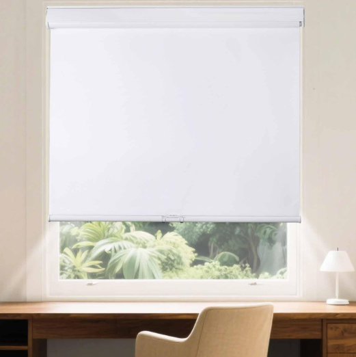 Roller Window Shades Free-Stop Cordless Blackout Blinds, Thermal Insulated Pull Down Shades for Windows, UV Protection Fabric Roller Blinds for Home Office (21.75" Wx72 H, White)