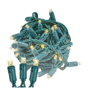 Novelty Lights 50ft 100 LED Warm White Christmas Lights Outdoor/Indoor, 6" Spacing, Green Wire String Lights for Festive Xmas Lighting, IP55, UL Listed, Dimmable, Connectable