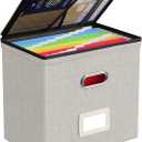 Oterri File Organizer Boxes with Lids, File Box with Mesh Pockets, Document Organizer Box for Letter Size Folders, Zippers Important Document Organizer (Beige, Small-1 Pack Without Folders)