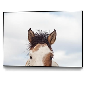 Giant Art Canvas 28"x22" Eyes, Frame not Included