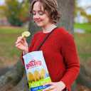 Boulder Canyon Olive Oil Kettle Chips, Classic Sea Salt, 6.5 oz (EXP 02/23/26)