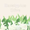 Eucalyptus Wreaths for Front Door Winter 22Inch Spring Eucalyptus Wreath Green Greenery All Seasons Artificial Wreaths for Outdoor Outside Indoor Window Porch Home Farmhouse Hanging Decorations