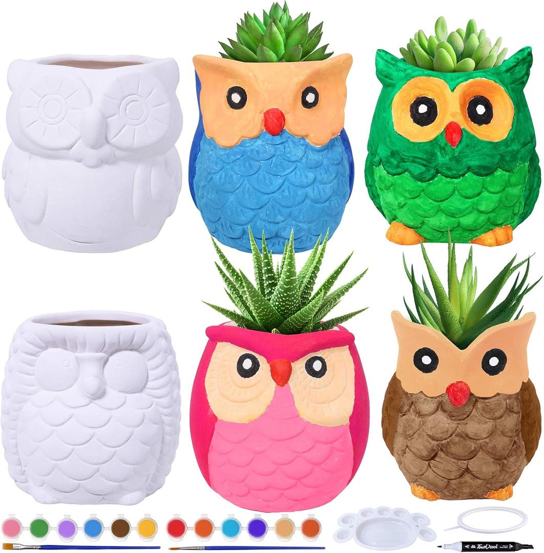 Winlyn 6 Sets DIY Ceramic Owl Succulent Pots Paint Craft Kit, Unpainted Ceramic Bisque Owl Flowerpots with Drainage Hole, Ready to Paint for Kids Classroom Craft Project Activity