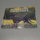 Miniature Pinscher Calendar 2026 Monthly Wall Calender 12 Month | American Made In The USA