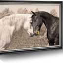 Farm Horse Canvas Wall Art: Large Framed Black and White Horses Portrait Prints Friendly Couple Steeds Picture Nature Ranch Animals Head Painting Horizontal Sweet Wildlife Artwork for Living Room