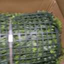 Artificial Grass Wall Panels,40"x120" (33.33 SQFT) Boxwood Roll