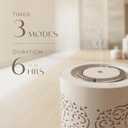 2 x Earnest Living Waterless Diffuser 100ml Nebulizing Diffusion System for Large Ambient Space Studio Home Office Hotel Spa