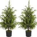 Artificial Norfolk Pine Tree - 3FT / 90CM 2 Pack Faux Christmas Tree Potted Plants Real Touch for Indoor Outdoor Home Front Porch Christmas Decor