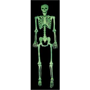 Crazy Bonez Pose-N-Stay Glow in The Dark Life Size 5 FT Skeleton with Realistic Posable and Movable Joints for Halloween Indoor and Outdoor Decoration
