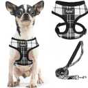 PUPTECK Soft Mesh Dog Harness and Leash Set Pet Puppy Cat Comfort Padded Vest No Pull Harnesses, Black&White, XS (XS (NECK: 10", CHEST: 10"-14"))