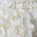 Dried Real White Rose Petals,  Freeze Preserved Flower Petals for Valentine's Day Gifts Wedding Party Decor, Flower Girl, Dinner table Centerpieces, Bridal Shower, Flower Confetti