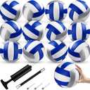 Wettarn 12 Pcs Official Size 5 Volleyballs Bulk Soft Recreational Volleyballs with Pump Regulation Size for Beginner Indoor Outdoor Beach Gym Pool Sand Sport (White, Blue, Silver)