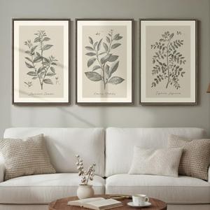 Framed Vintage Botanical Wall Art, 3 Piece Neutral Floral Plants Canvas Painting Prints Artwork for Living Room, Rustic Flowers Pictures for Farmhouse Bedroom Kitchen Dining Room Home Decor, 16x24, 16" W x 24" H x 3Pcs