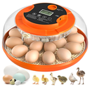 18 Egg Incubator with Automatic Egg Turning and Humidity Control, Incubators for Hatching Eggs, Chicken, Ducks, Goose, Pigeon, Quail, Parrot Incubator for Farm, Lab, Science Classroom, Home (Orange