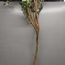 Kazeila Artificial Olive Tree 7FT Tall Faux Silk Plant for Home Office Decor Indoor Fake Potted Tree with Wood Branches and Fruits