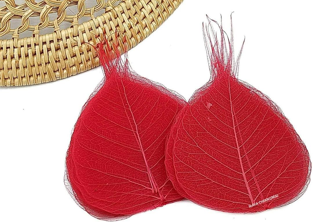NAVA CHIANGMAI Skeleton Natural Ficus Religiosa Leaves Artificial Leaves Craft Card Scrapbooking DIY Embellishment Decoration Art Greeting Cards Wedding Gifts Seasonal Gift (Red)