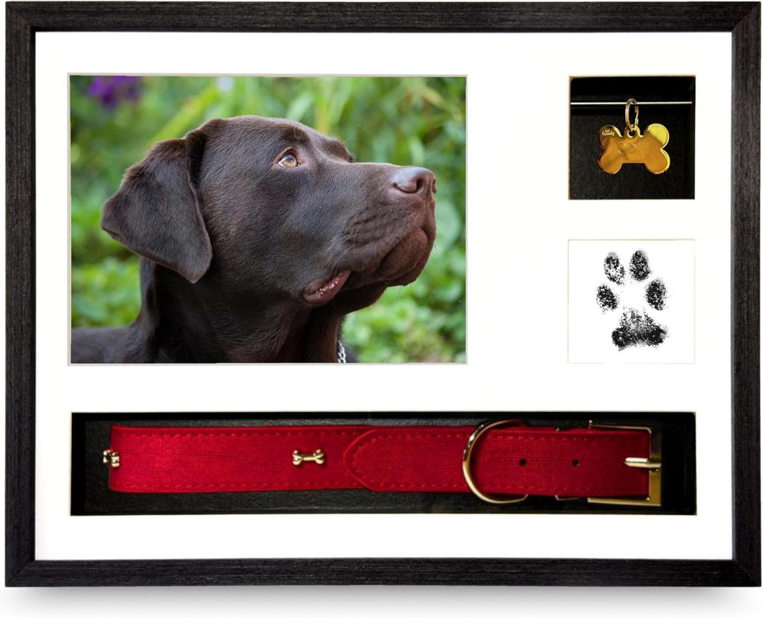 Dog Memorial Frame Shadow Box | Meaningful Pet Memorial Gifts for Dogs | Dog Bereavement Gifts with Unique Tag Slider, Fits All Collars & Hidden Compartment | Black 11x14 in
