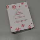 Hallmark Disney Princess Aladdin Jasmine Christmas Ornament