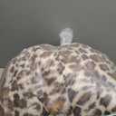 WDCOZY Cheetah Leopard Print Bubble Throw Blanket, Luxury Faux Rabbit Fur Mink Plush Throw for Couch, Sofa and Bed, Soft Fluffy Fuzzy Cozy Blanket for Women, Thick and Warm, 60x80 inches, 950 GSM