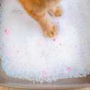 Calitti Premium Crystal Cat Litter 99.9% Dust Free, Maximum Odor Control, Soft on Paws, Low Tracking, Lightweight Silica Gel, Non-Clumping, Multi-Cat, Unscented 8 lb Bag