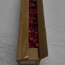 30 Pack Snow Frosted Red Berry Stems 8.9" Holly Frosted Berry Picks Snowy Artificial Red Berries for Christmas Tree Filler Picks and Sprays Holiday DIY Crafts Christmas Decor