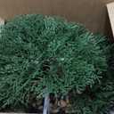 Artificial Bonsai Tree Juniper Faux Plants Indoor Small Fake Plants Decor with Ceramic Pots for Home Table Office Desk Bathroom Shelf Bedroom Living Room Farmhouse Decorations