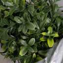 Nearly Natural 2.5ft. UV Resistant Artificial Boxwood Plant with Integrated Ground Stake (Indoor/Outdoor) - Set of 2