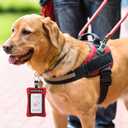 Oudain 2 Pcs Service Dog ID Holder Identification Service Dog Clip on Badge Holder Display Your Doggy Zippered Pouch Carry Small Items Clip on Badge Pocket with Card Slot