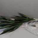 Artificial Agave Plant 6FT with 60 Leaves & 4 Trunks & Elegant Black Pot Faux Tall Floor Fake Large Modern Tree 70 Inch for Home Office Indoor Outdoor Decor Housewarming Gift (6FT, 1Pack)