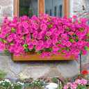 Waipfaru 24 Bundles Artificial Flowers for Outdoors Faux Plants Outdoor, UV Resistant Artificial Plants Outdoor, Silk Petunias Fake Flowers for Outside Home Decor Planter Porch Decoration, Rose Red