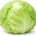 Crisphead Iceberg Lettuce Seeds – Compact Round Heads with Crisp Texture for Home Gardens, Raised Beds & Containers