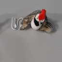 KreizyGo Cat Toys, Flapping Wings Woodpecker, No Flying, Chirping Bird Interactive Catnip Toy for Kitten or Small Dogs, Touch Activated, Rechargeable, 3 Modes