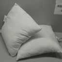 Amazon Basics Square Hypoallergenic Pillow Insert, Sofa Bed Couch Decorative Stuffer, 20", 2 Pack (20 x 20 inches)