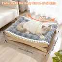 Plush Elevated Cat Bed - Cozy Raised Cat Hammock with Solid Wood Frame, Soft Furry Cushion for Indoor Cats & Small Dogs, Multi-Color Options(Grey)