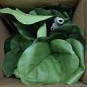 6ft Artificial Fiddle Leaf Fig Tree Tall Large Realistic Fake Ficus Lyrata Plant for Indoor Home Decor Office Living Room Floor Plant Modern Farmhouse Silk Tree 72 Inch Pet Safe Maintenance Free