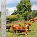 GarveeLife Cattle Farm Fence, 5 ft x 328 ft Galvanized Wire Fencing for Goat, Deer, Hog Yard Livestock Animals Protection (Silver)